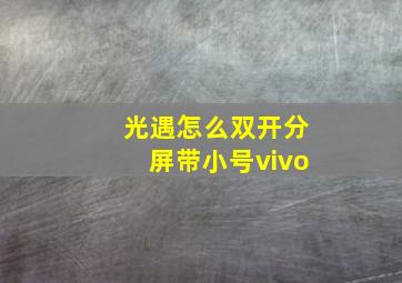 光遇怎么双开分屏带小号vivo