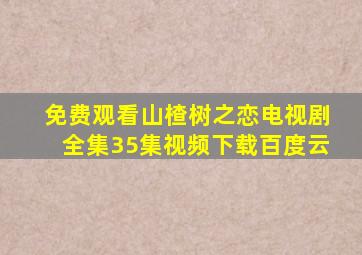 免费观看山楂树之恋电视剧全集35集视频下载百度云