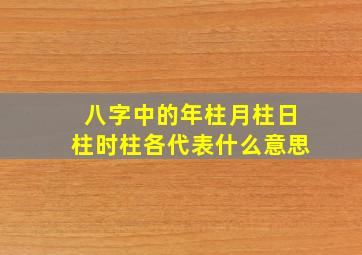 八字中的年柱月柱日柱时柱各代表什么意思