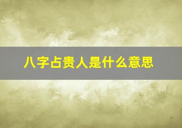 八字占贵人是什么意思