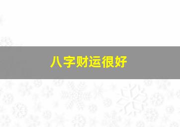 八字财运很好