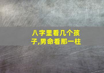 八字里看几个孩子,男命看那一柱