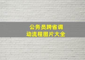 公务员跨省调动流程图片大全