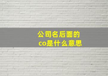 公司名后面的co是什么意思