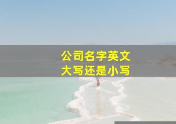 公司名字英文大写还是小写