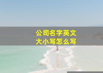 公司名字英文大小写怎么写