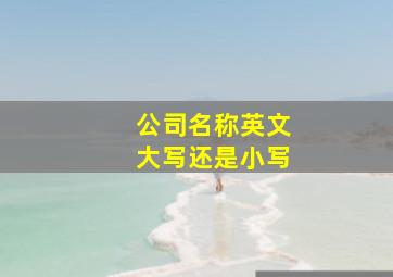 公司名称英文大写还是小写