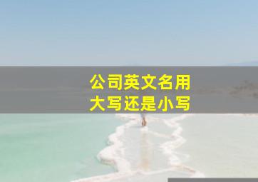 公司英文名用大写还是小写