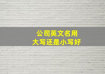 公司英文名用大写还是小写好