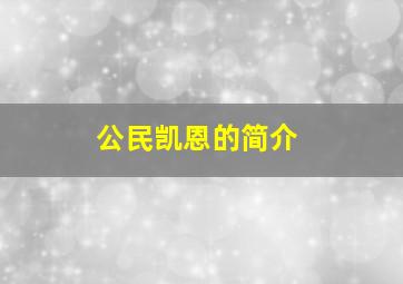 公民凯恩的简介