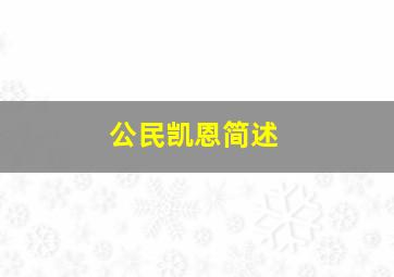 公民凯恩简述