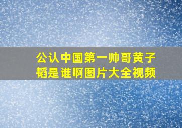 公认中国第一帅哥黄子韬是谁啊图片大全视频