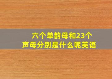 六个单韵母和23个声母分别是什么呢英语