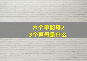 六个单韵母23个声母是什么