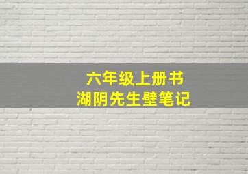 六年级上册书湖阴先生壁笔记