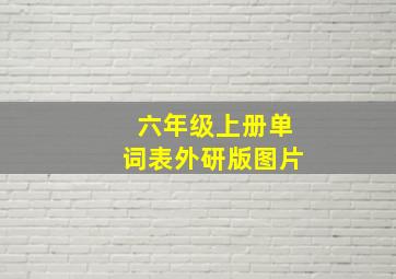 六年级上册单词表外研版图片