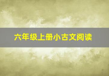 六年级上册小古文阅读