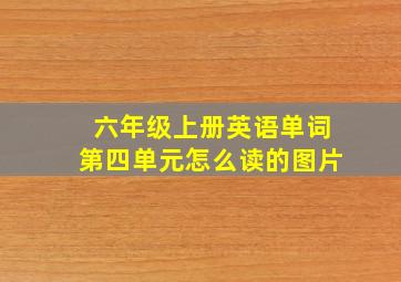 六年级上册英语单词第四单元怎么读的图片