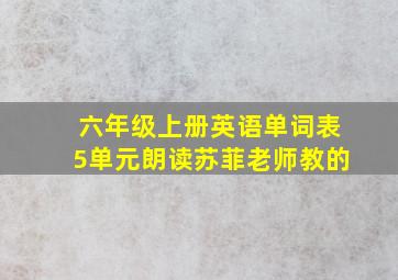 六年级上册英语单词表5单元朗读苏菲老师教的