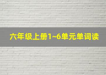 六年级上册1~6单元单词读