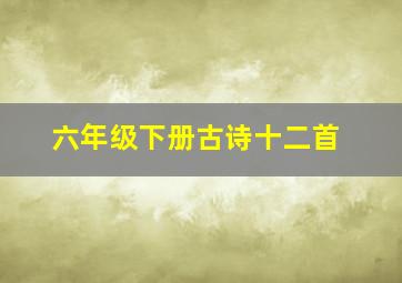 六年级下册古诗十二首