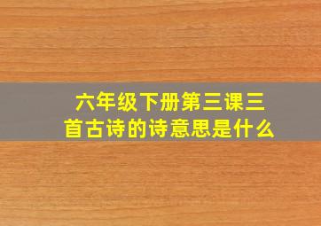 六年级下册第三课三首古诗的诗意思是什么