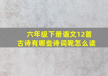 六年级下册语文12首古诗有哪些诗词呢怎么读