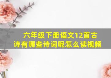 六年级下册语文12首古诗有哪些诗词呢怎么读视频