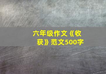 六年级作文《收获》范文500字