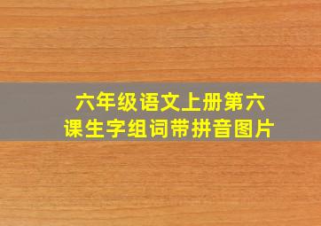 六年级语文上册第六课生字组词带拼音图片