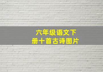 六年级语文下册十首古诗图片