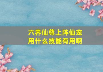 六界仙尊上阵仙宠用什么技能有用啊