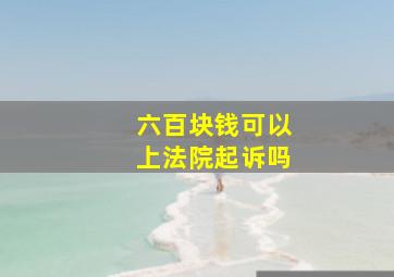 六百块钱可以上法院起诉吗