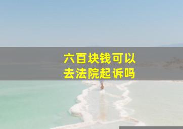 六百块钱可以去法院起诉吗