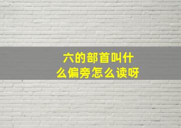 六的部首叫什么偏旁怎么读呀