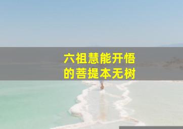 六祖慧能开悟的菩提本无树