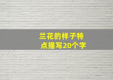 兰花的样子特点描写20个字