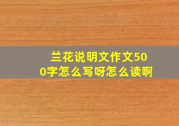 兰花说明文作文500字怎么写呀怎么读啊