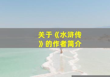 关于《水浒传》的作者简介