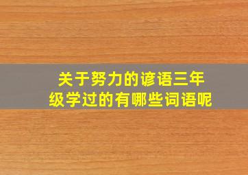 关于努力的谚语三年级学过的有哪些词语呢