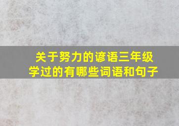 关于努力的谚语三年级学过的有哪些词语和句子