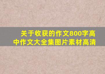 关于收获的作文800字高中作文大全集图片素材高清