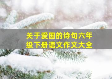 关于爱国的诗句六年级下册语文作文大全