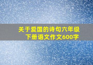 关于爱国的诗句六年级下册语文作文600字