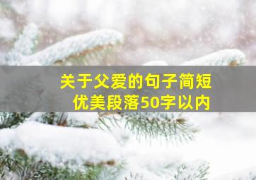 关于父爱的句子简短优美段落50字以内