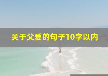 关于父爱的句子10字以内