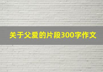 关于父爱的片段300字作文