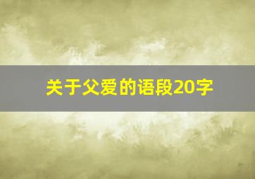 关于父爱的语段20字