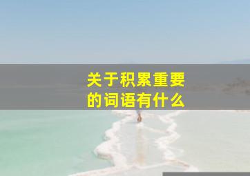 关于积累重要的词语有什么