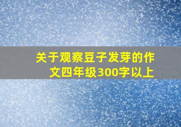 关于观察豆子发芽的作文四年级300字以上